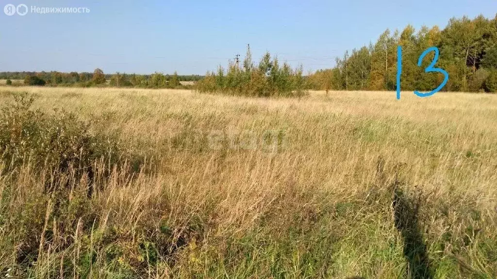 Участок в Новгородский район, Трубичинское сельское поселение, деревня ... - Фото 1