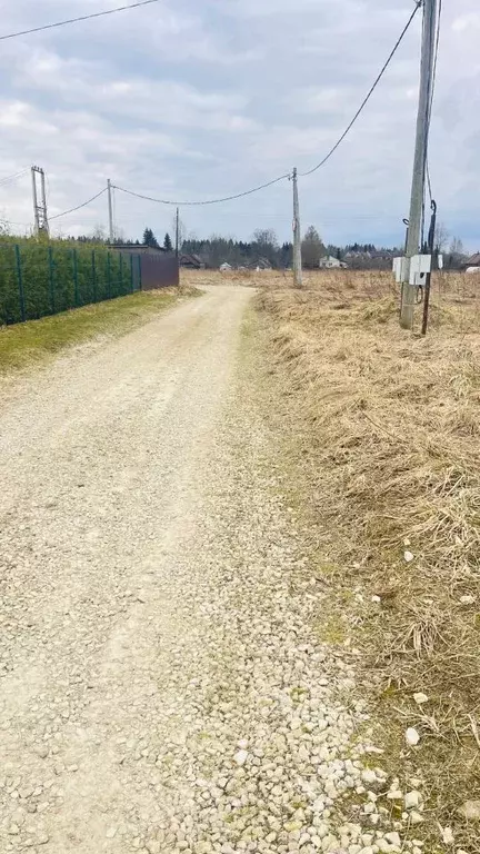 Участок в Ленинградская область, Гатчинский муниципальный округ, д. ... - Фото 2