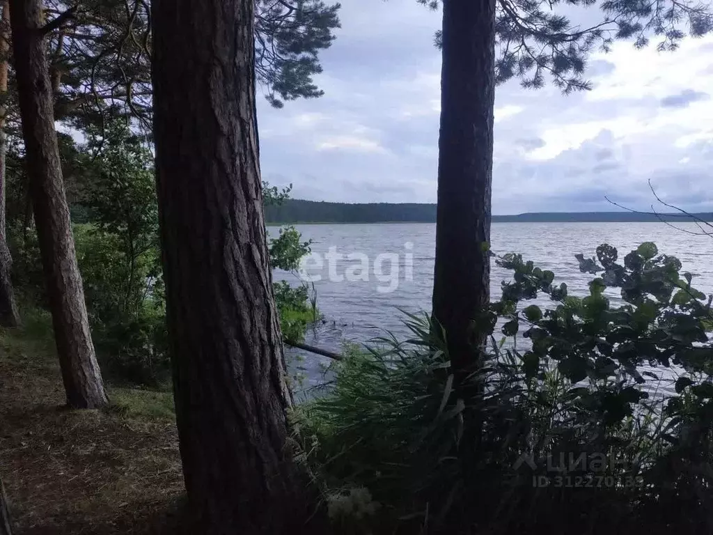 Участок в Свердловская область, Тугулымский городской округ, с. ... - Фото 0