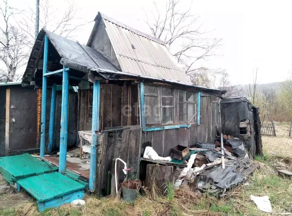 Участок в Камчатский край, Елизово Здоровье СНТ,  (5.0 сот.) - Фото 0