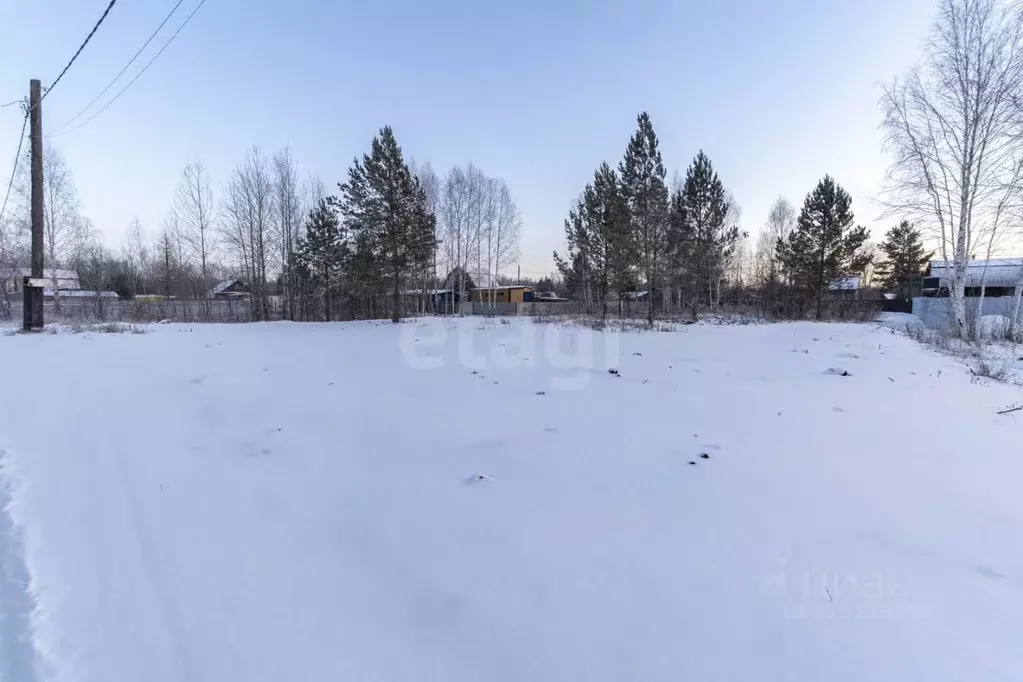 Участок в Тюменская область, Тюменский муниципальный округ, Нива СНТ ... - Фото 1