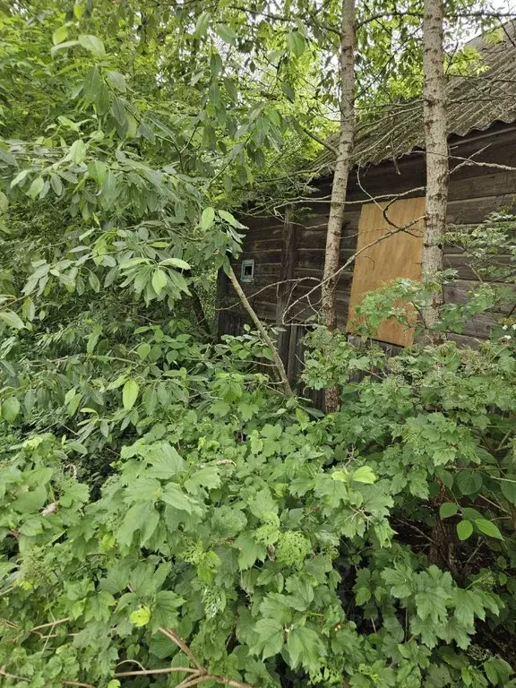 Участок в Новгородская область, Валдай ул. Победы (6.0 сот.) - Фото 0