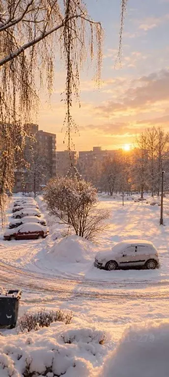3-к кв. Московская область, Коломна ул. Девичье Поле, 11 (59.5 м) - Фото 2