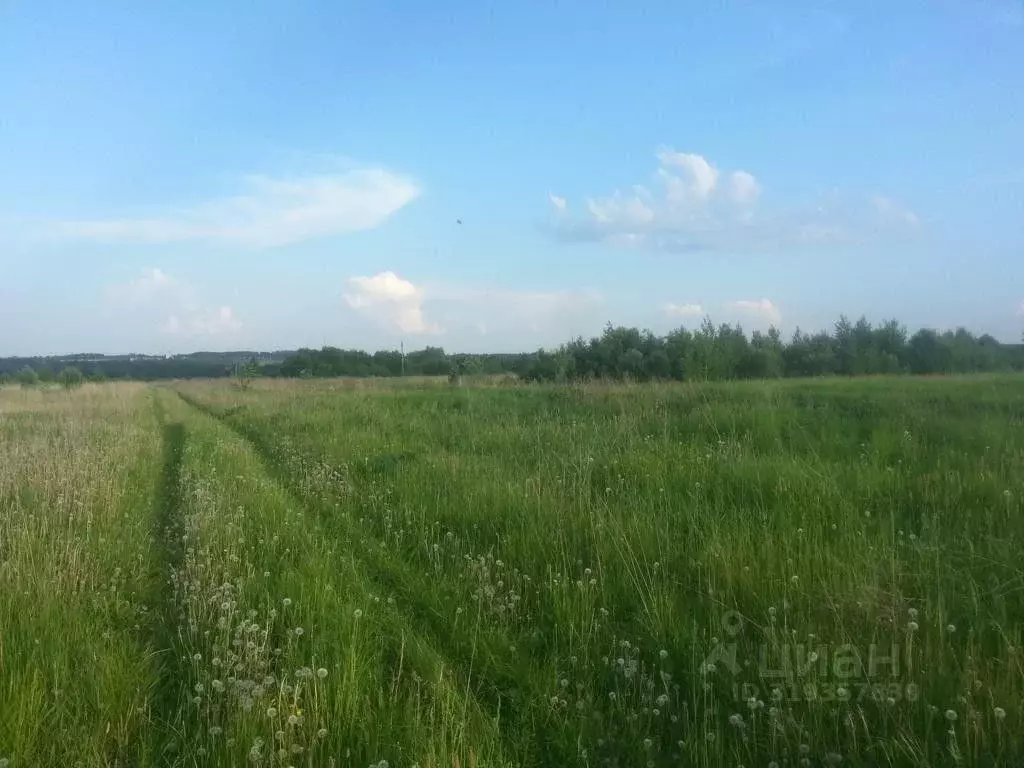 Участок в Владимирская область, Юрьев-Польский муниципальный округ, ... - Фото 1