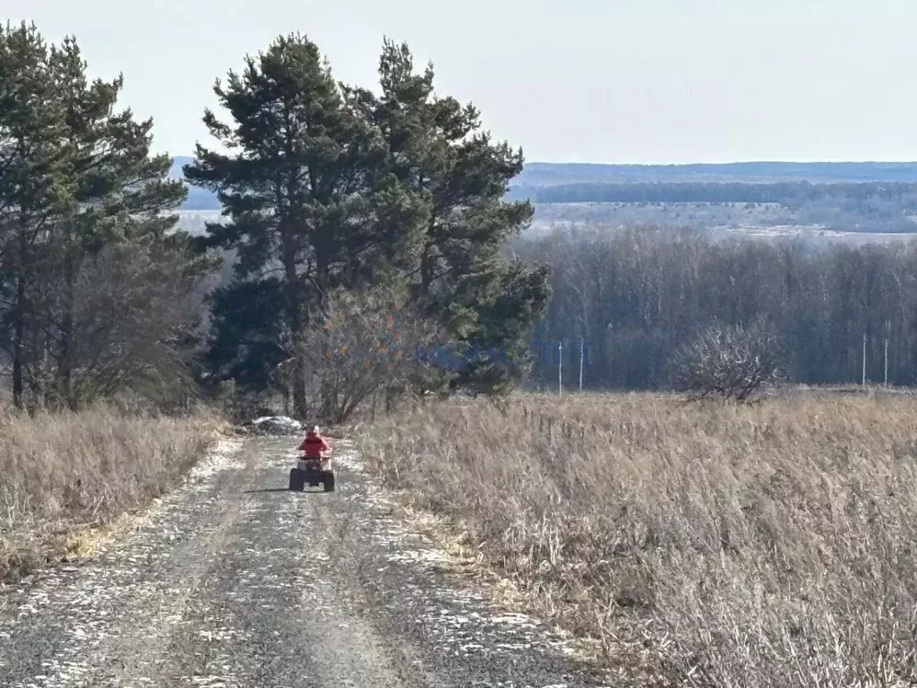 Участок в Нижегородская область, Богородский муниципальный округ, с. ... - Фото 1