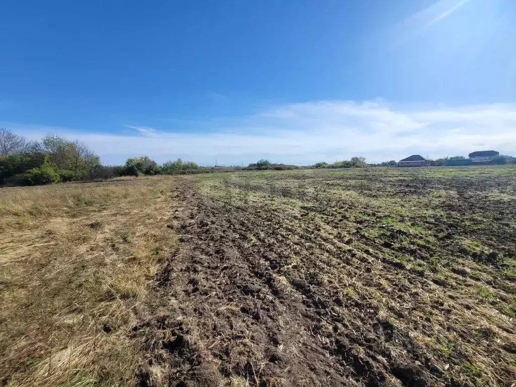 Участок в Белгородская область, Белгородский район, Беловское с/пос, ... - Фото 1