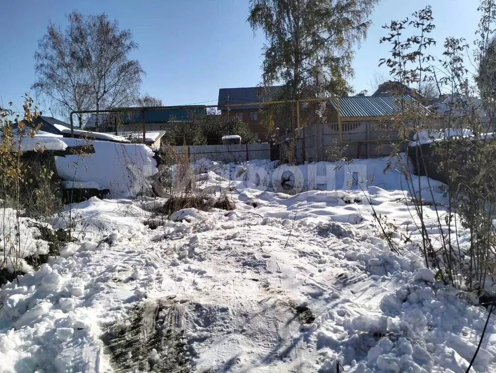 Участок в Новосибирская область, Новосибирск ул. Скрябина (5.0 сот.) - Фото 2