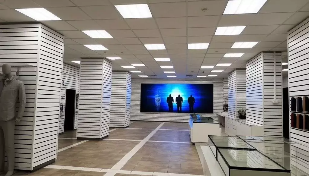 Помещение свободного назначения в Московская область, Люберцы ... - Фото 2