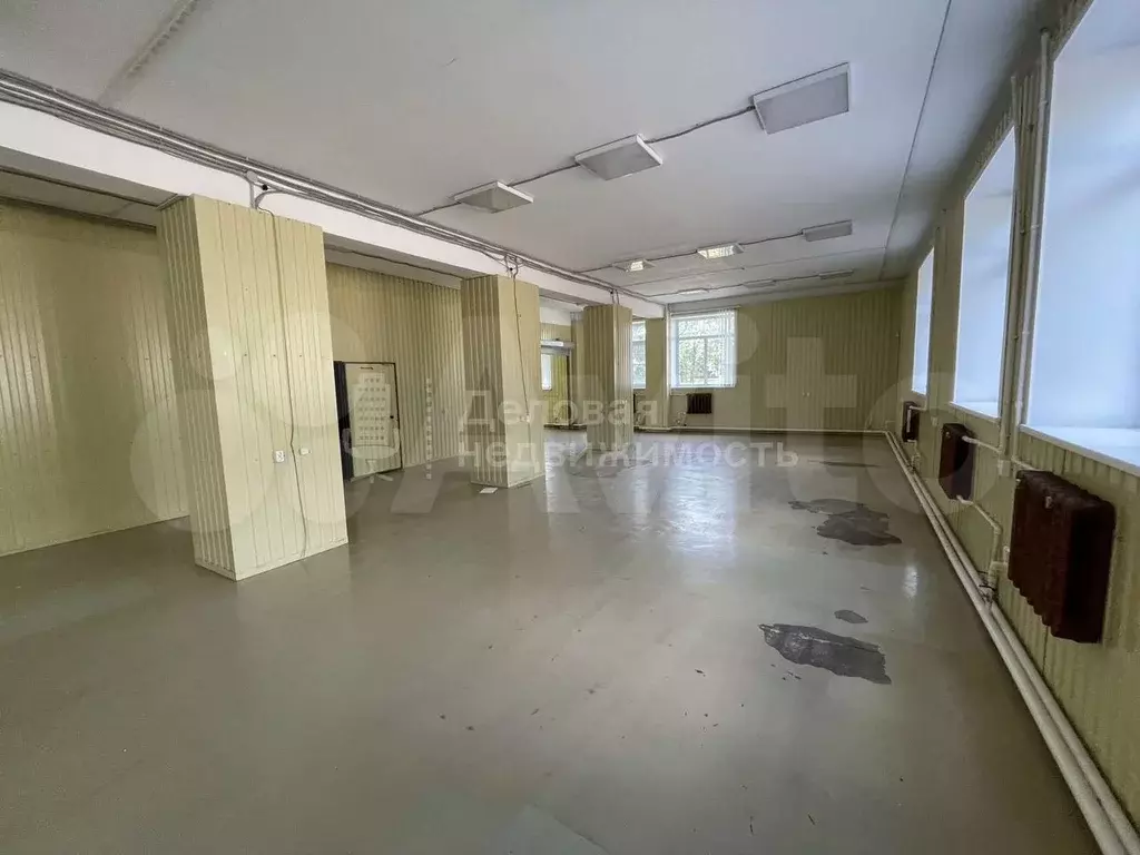 Сдам помещение свободного назначения, 270 м - Фото 1