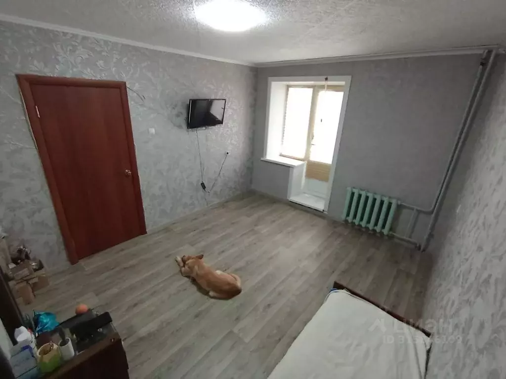 2-к кв. Хабаровский край, Имени Лазо район, Хор рп ул. Менделеева, 16 ... - Фото 0