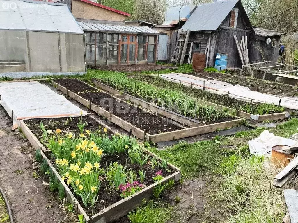 Дом в Березники, СНТ № 42 (30 м) - Фото 2