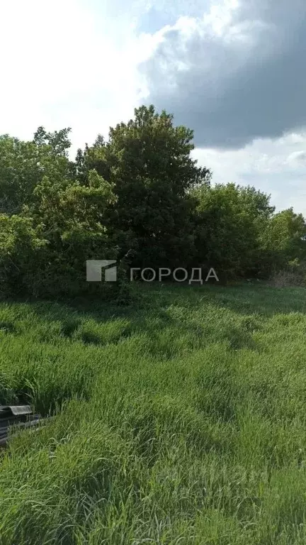 Участок в Алтайский край, Романовский район, с. Гуселетово Садовая ... - Фото 1
