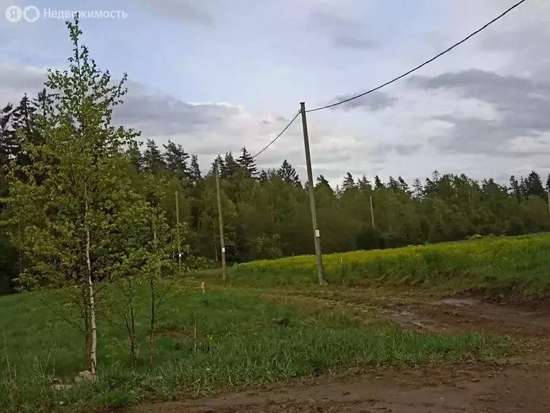 Участок в Приозерский район, Красноозёрное сельское поселение, деревня ... - Фото 0