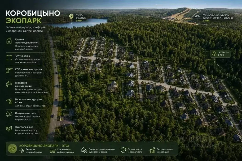 Участок в Ленинградская область, Приозерский район, Красноозерное ... - Фото 2
