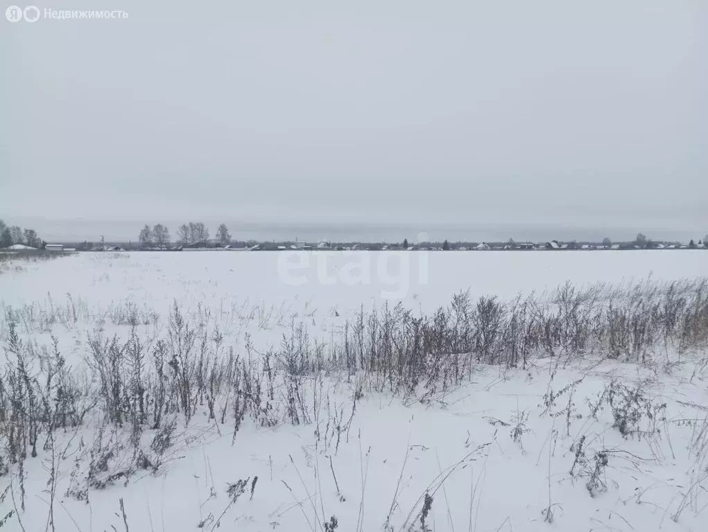 Участок в Костромской район, Шунгенское сельское поселение, деревня ... - Фото 1