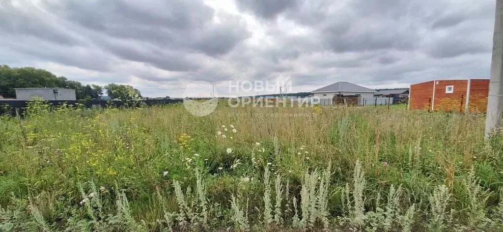 Участок в Свердловская область, Екатеринбург просп. Ленина (12.32 ... - Фото 1