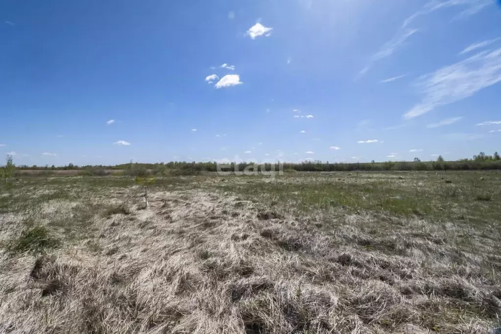 Участок в Тюменская область, Тюменский район, Горошинка-3 СНТ ул. ... - Фото 1