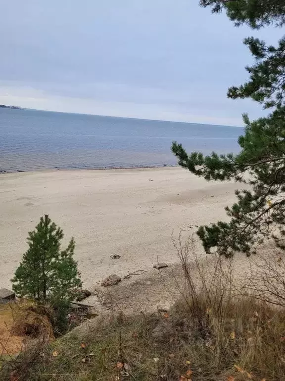 Дом в Ярославская область, Рыбинский муниципальный округ, Глебовское ... - Фото 2