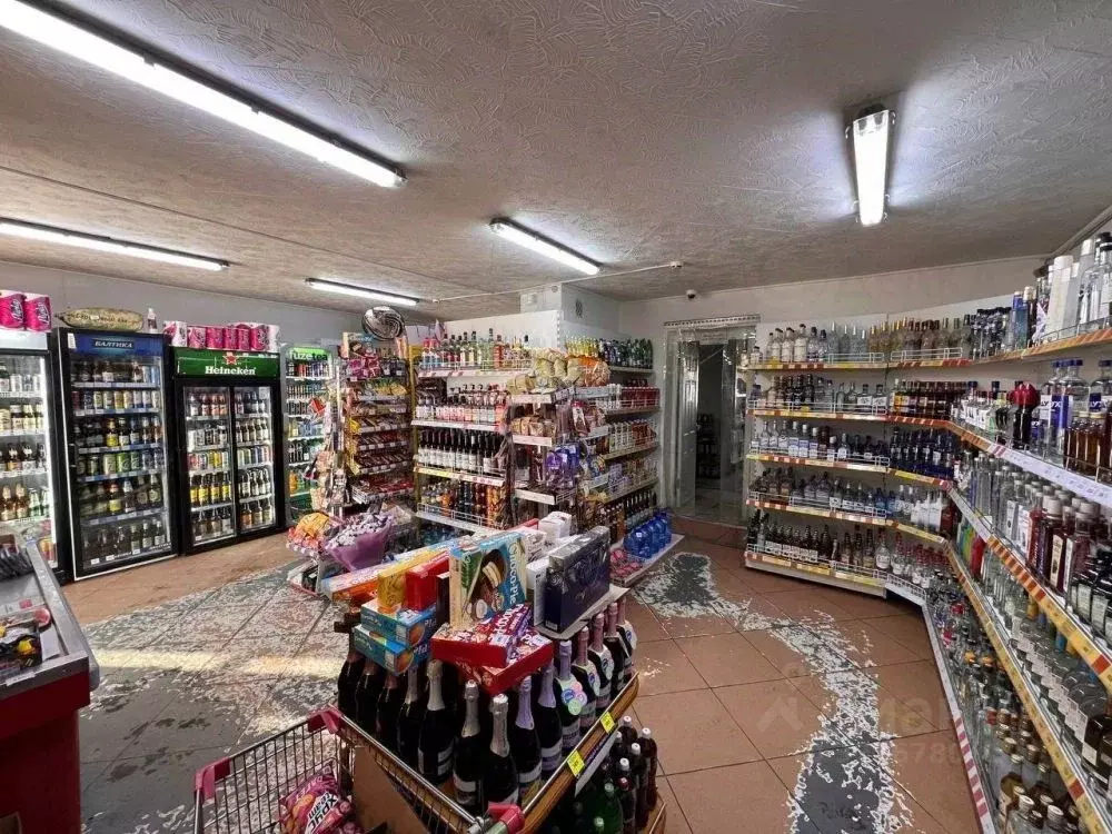 Помещение свободного назначения в Магаданская область, Магадан ул. ... - Фото 1