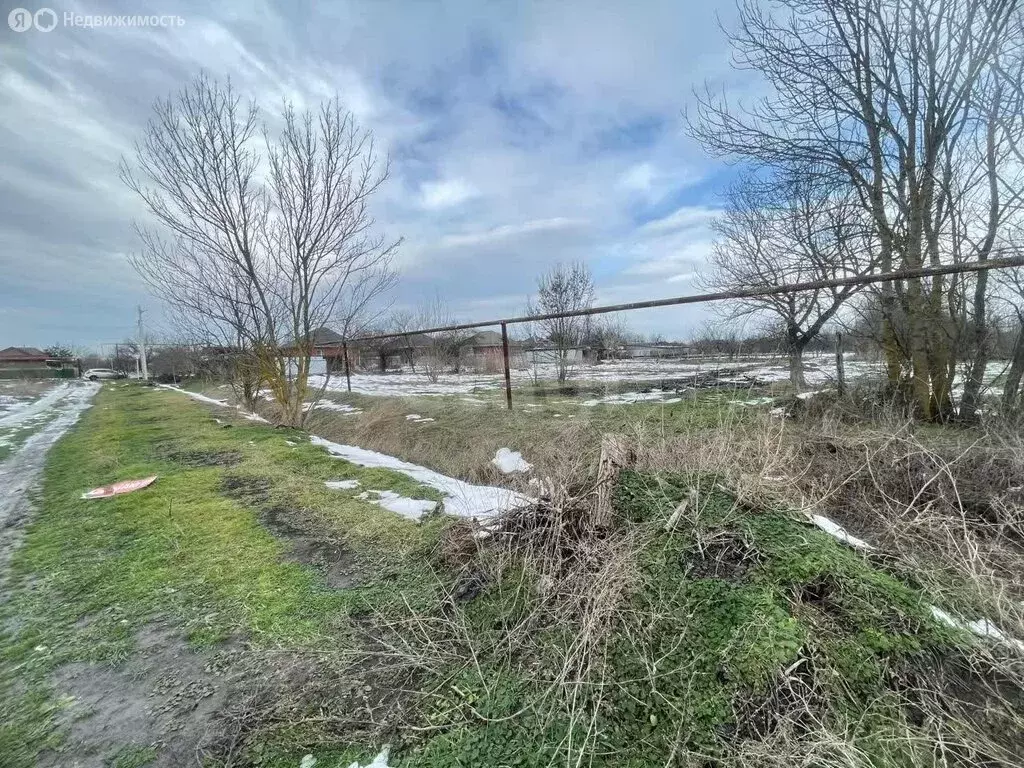 Участок в Красноармейский район, Новомышастовское сельское поселение, ... - Фото 2