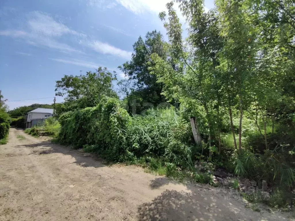 Участок в Ставропольский край, Ставрополь Арония садовое товарищество, ... - Фото 1