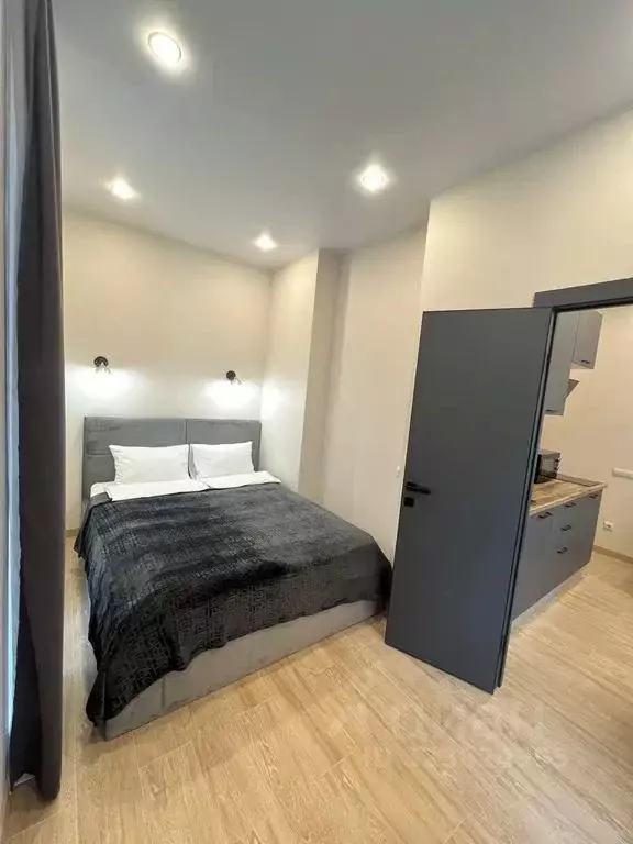 1-к кв. Краснодарский край, Сочи Виноградная ул., 219 (27.0 м) - Фото 2