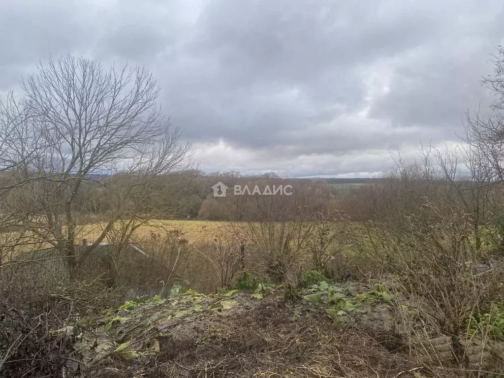 Участок в Тульская область, Киреевский район, Бородинское с/пос, д. ... - Фото 1