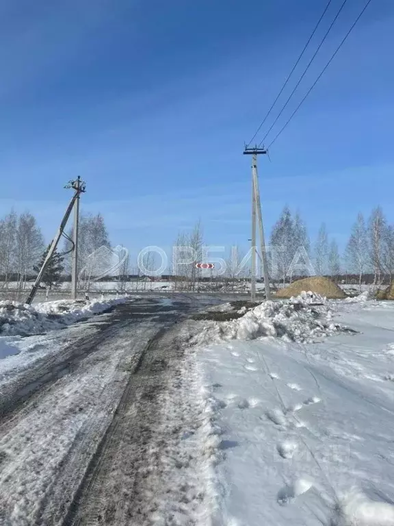 Участок в Тюменская область, Нижнетавдинский район, Моторостроитель ... - Фото 1