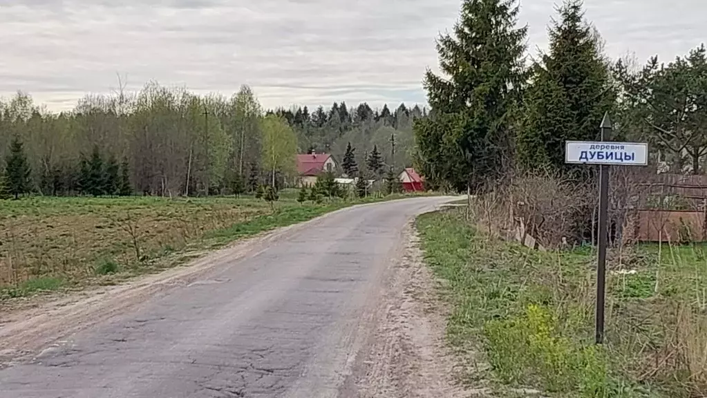 Дом в Ленинградская область, Гатчинский муниципальный округ, д. Дубицы ... - Фото 2