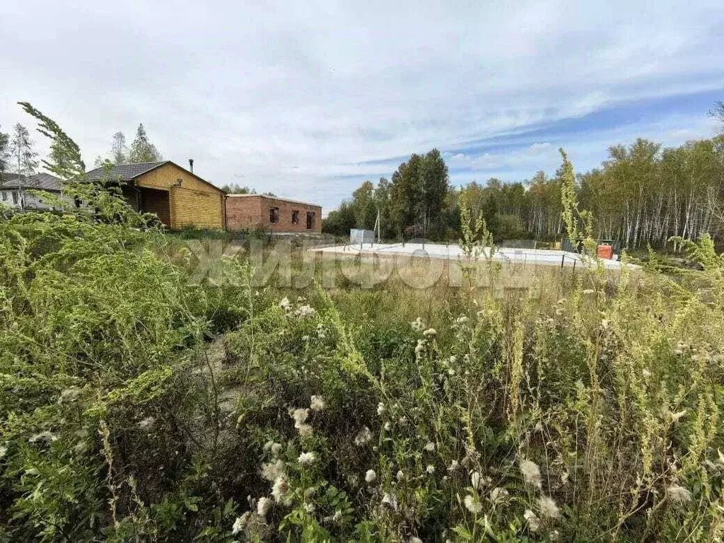 Участок в Новосибирская область, Новосибирский район, Каменский ... - Фото 2