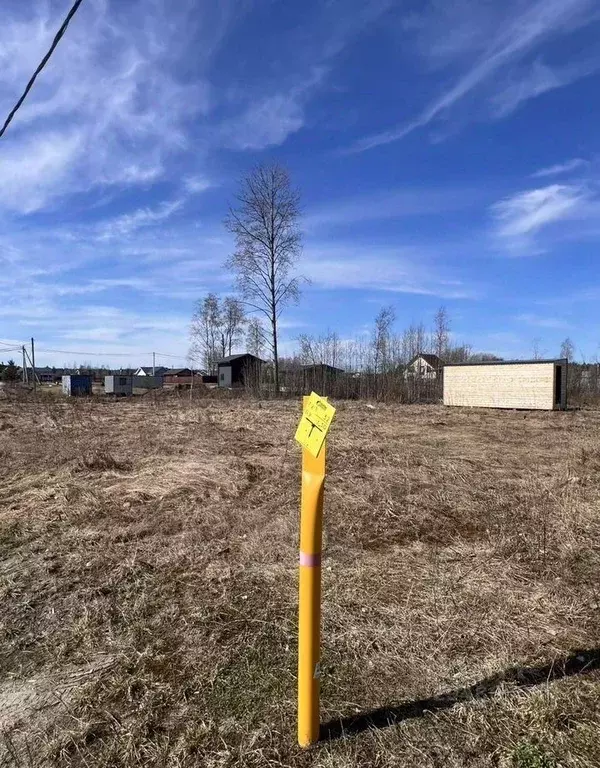 Участок в Ленинградская область, Выборгский район, Гончаровское с/пос, ... - Фото 1