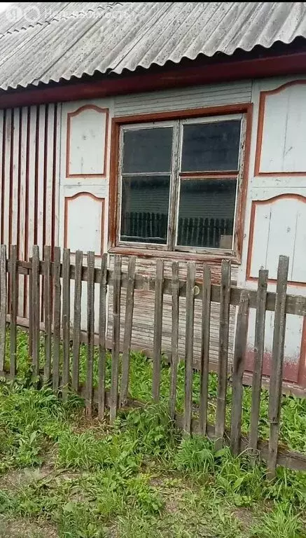 Дом в Толмачёвский сельсовет, садовое товарищество Лайнер (45 м) - Фото 0