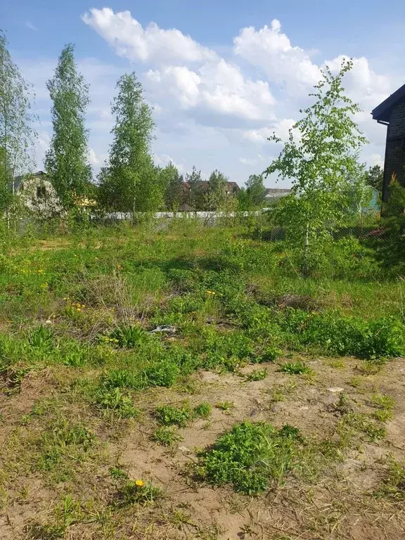 Участок в Московская область, Богородский городской округ, Якорь СНТ  ... - Фото 1