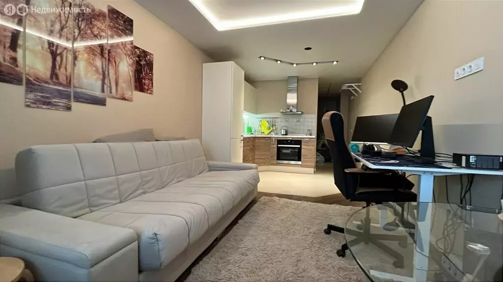 Квартира-студия: Санкт-Петербург, Репищева улица, 10к1 (29.9 м) - Фото 1
