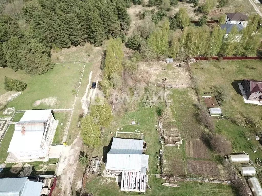 Участок в Владимирская область, Суздальский район, Новоалександровское ... - Фото 1