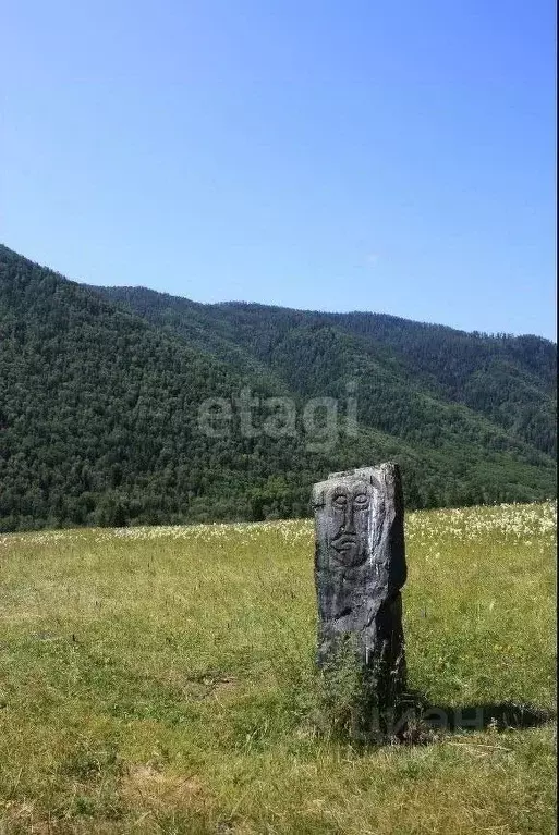 Участок в Алтай, Усть-Коксинский район, с. Катанда  (1270.8 сот.) - Фото 1