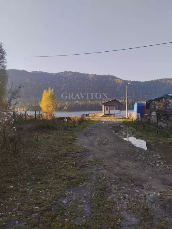 Участок в Алтай, Турочакский район, с. Артыбаш Телецкая ул. (2.44 ... - Фото 2