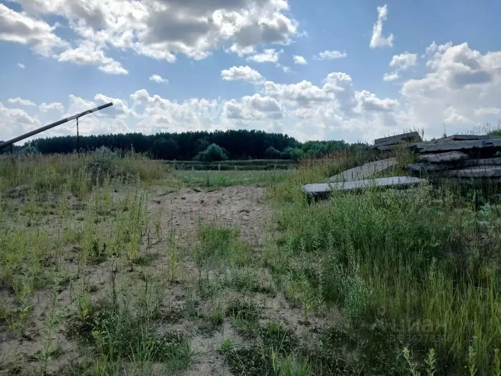 Производственное помещение в Чувашия, Козловка Нижнекурганская ул., 48 ... - Фото 2