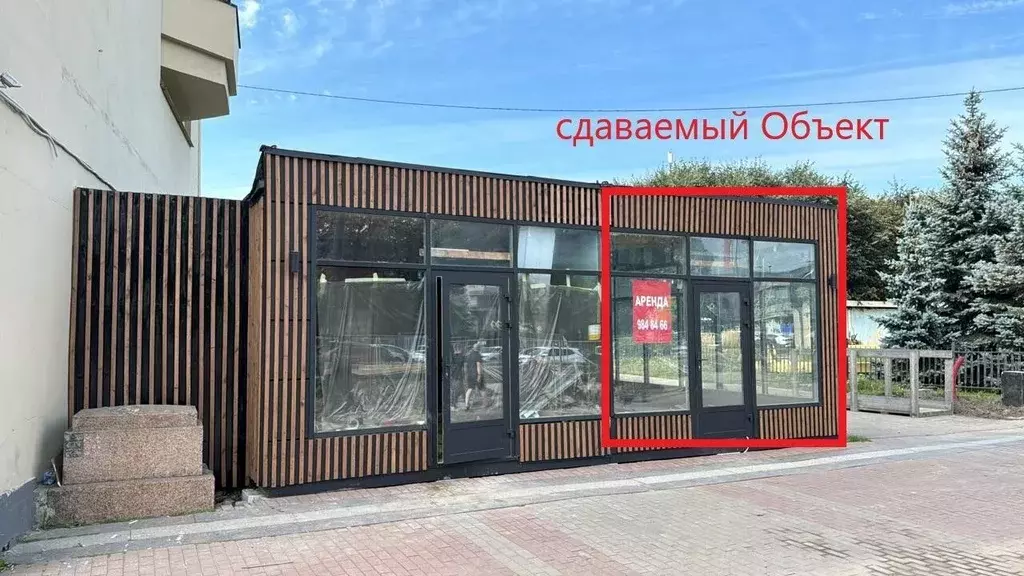 Торговая площадь в Санкт-Петербург Московский просп., 133 (36 м) - Фото 0