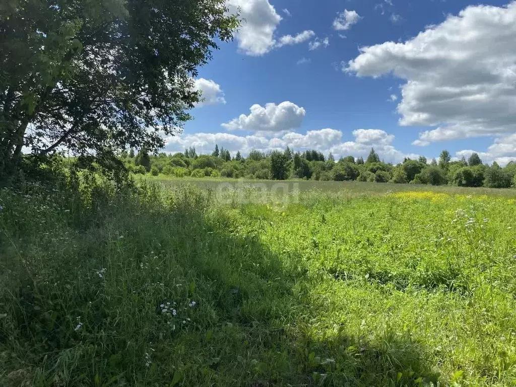 Участок в Орловская область, Орловский район, д. Кулики  (28.1 сот.) - Фото 0