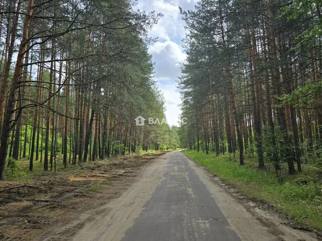 Участок в Владимирская область, Судогодский муниципальный округ, д. ... - Фото 2