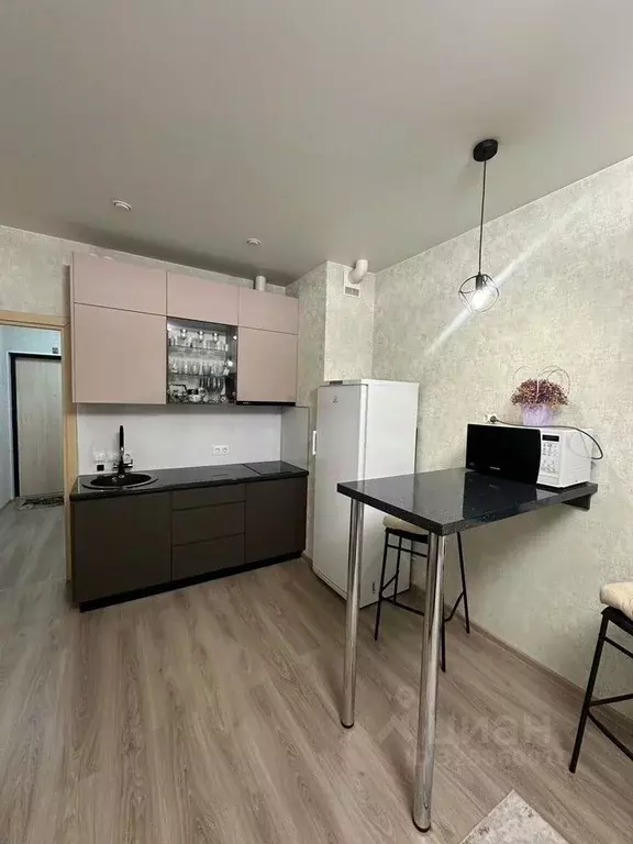 Студия Ленинградская область, Всеволожский район, Заневское городское ... - Фото 1