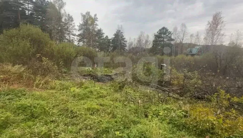 Участок в Алтай, Майминский район, с. Соузга  (75.0 сот.) - Фото 1