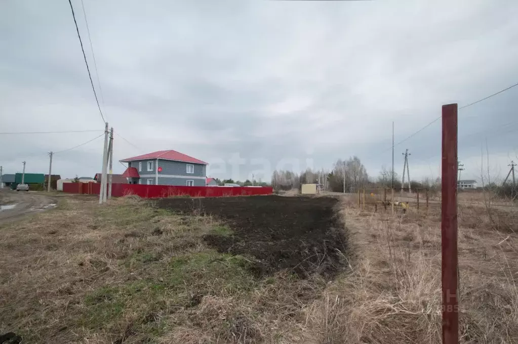 Участок в Новосибирская область, Новосибирский район, Кудряшовский ... - Фото 0