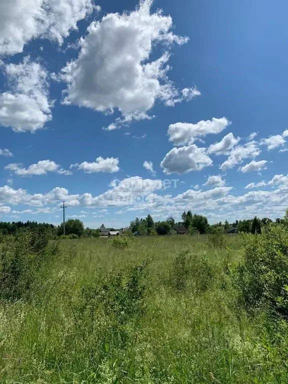 Участок в Ярославская область, Переславль-Залесский городской округ, ... - Фото 0