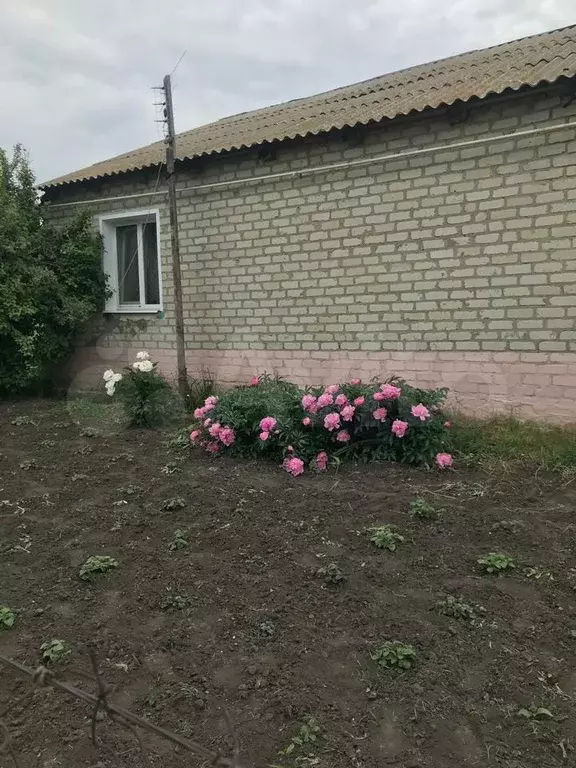 Дом 78,4 м на участке 15 сот. - Фото 0