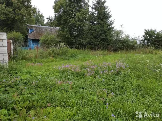 Купить Дом В Зубцовском Районе Тверской Области