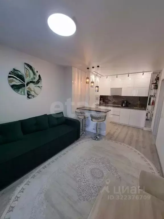 2-к кв. Хабаровский край, Хабаровск Трехгорная ул., 106 (33.2 м) - Фото 2