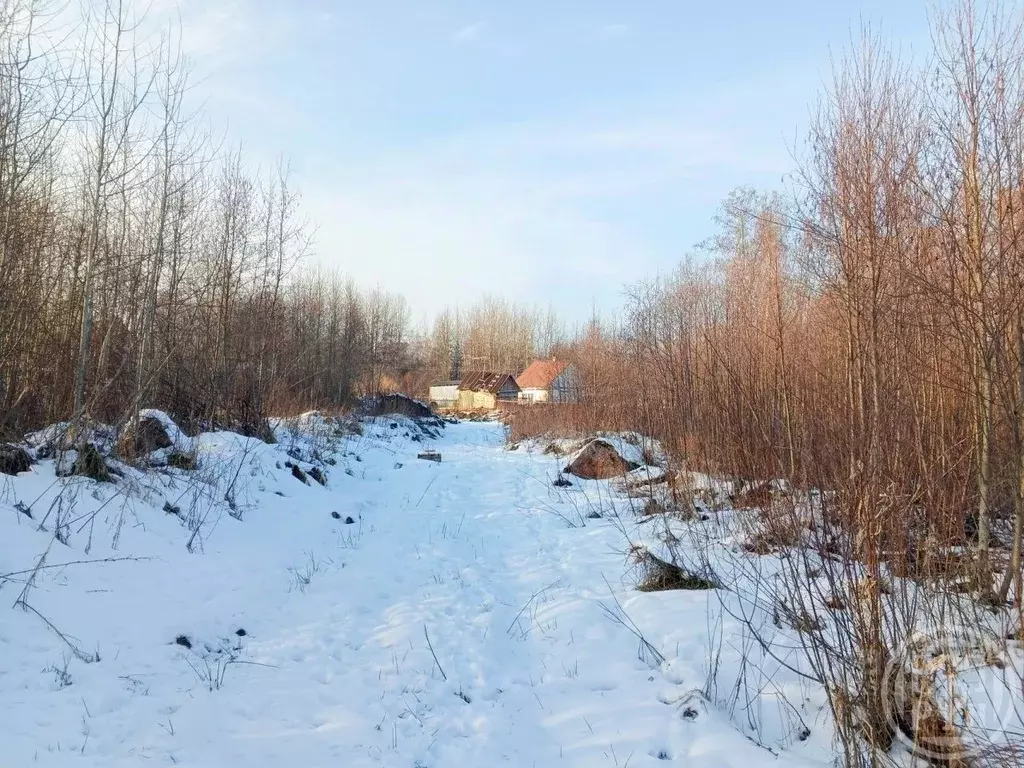 Участок в Ленинградская область, Выборгский район, пос. Красносельское ... - Фото 2