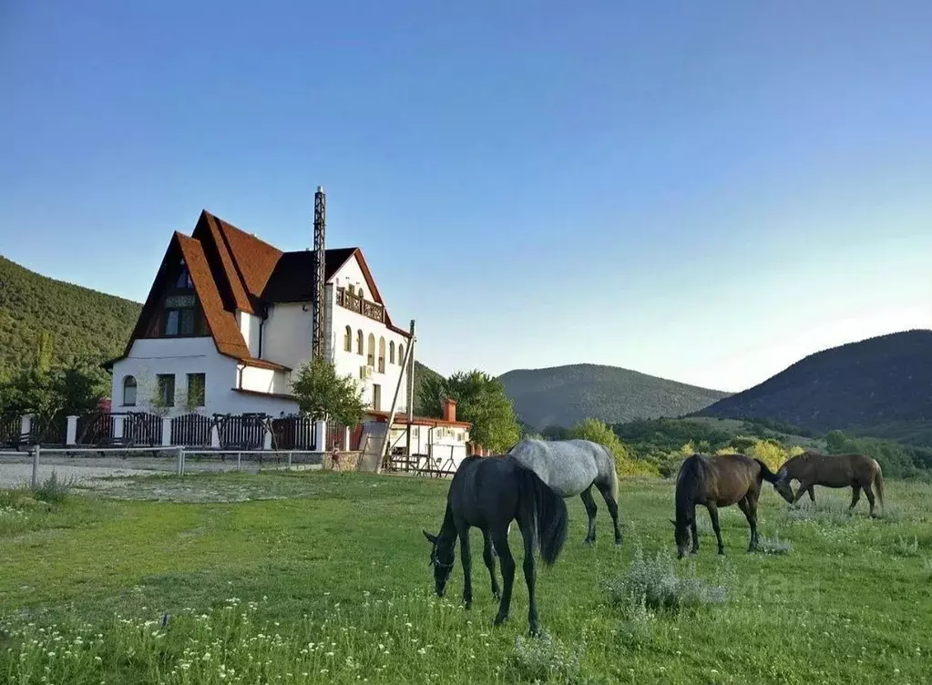 Участок в Севастополь с. Колхозное, ул. Колхозная (8.0 сот.) - Фото 0